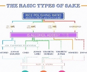 sake beginner